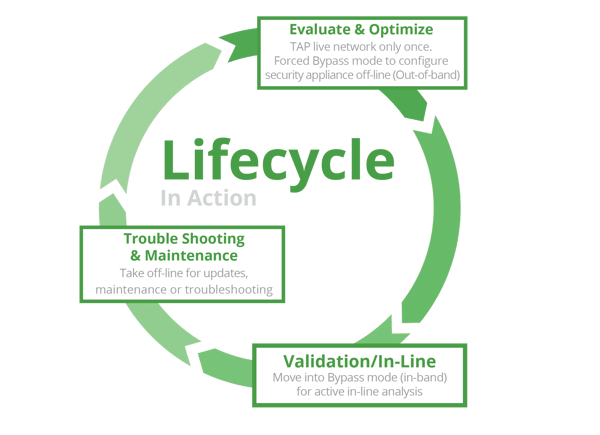 Lifecycle2016-updated