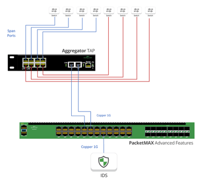 SPAN Aggregator TAP