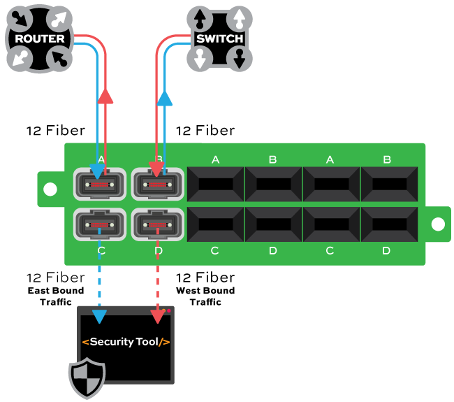 MPT-MPO-12-Fiber