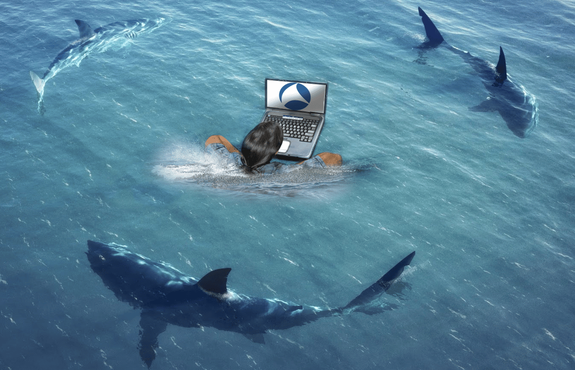 SharkFestEuro17Blog.png