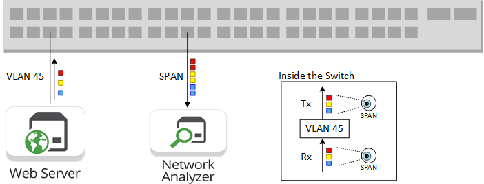 SPAN Duplication Web Server VLAN 45 Network Analyzer 