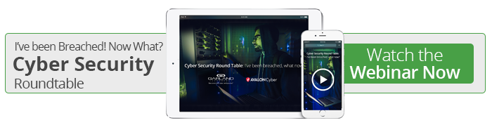Watch the On-Demand Cyber Security Roundtable Webinar Now!