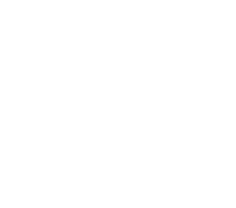 government_icon_w